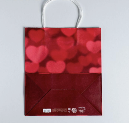 Пакет подарочный крафт «All you need is love», 22 × 25 × 12 см