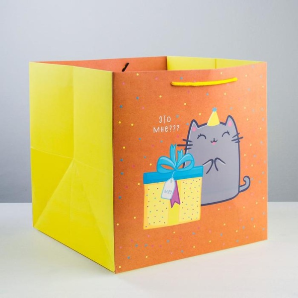 Пакет для торта «Котик и тортик», 30 × 30 × 30 см